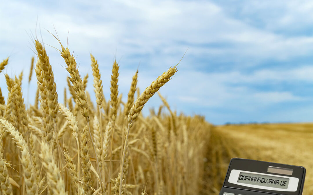 Rozliczenie dopłat unijnych pobranych po ustaniu wspólności majątkowej a przed podziałem majątku wspólnego małżonków